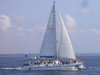 Bali Hai Cruises - Aristocat Sailing Catamaran