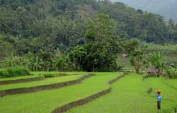 east bali