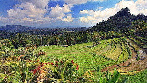 Objek Wisata Bukit Jambul di Karangasem, Bali - Paket ke Bali