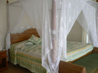 coconut beach resort bali