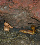 steambot Egg at Batur Mountain